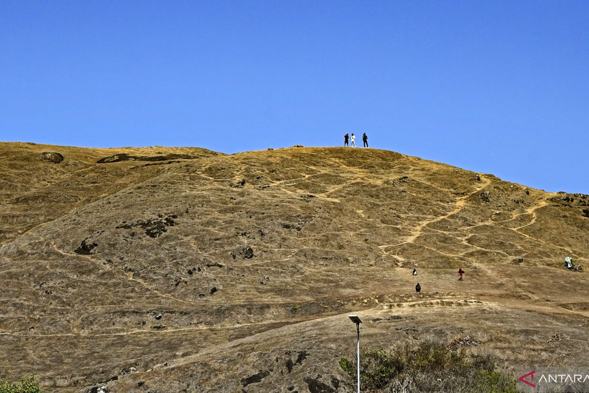 Tajuk ANTARA NTB - Ketika langit diam, ujian kekeringan di Lape Sumbawa