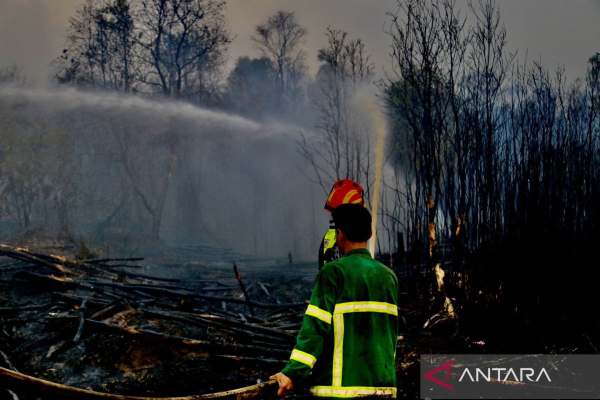Forest and land fires reach 1,437 hectares in South Kalimantan: BPBD