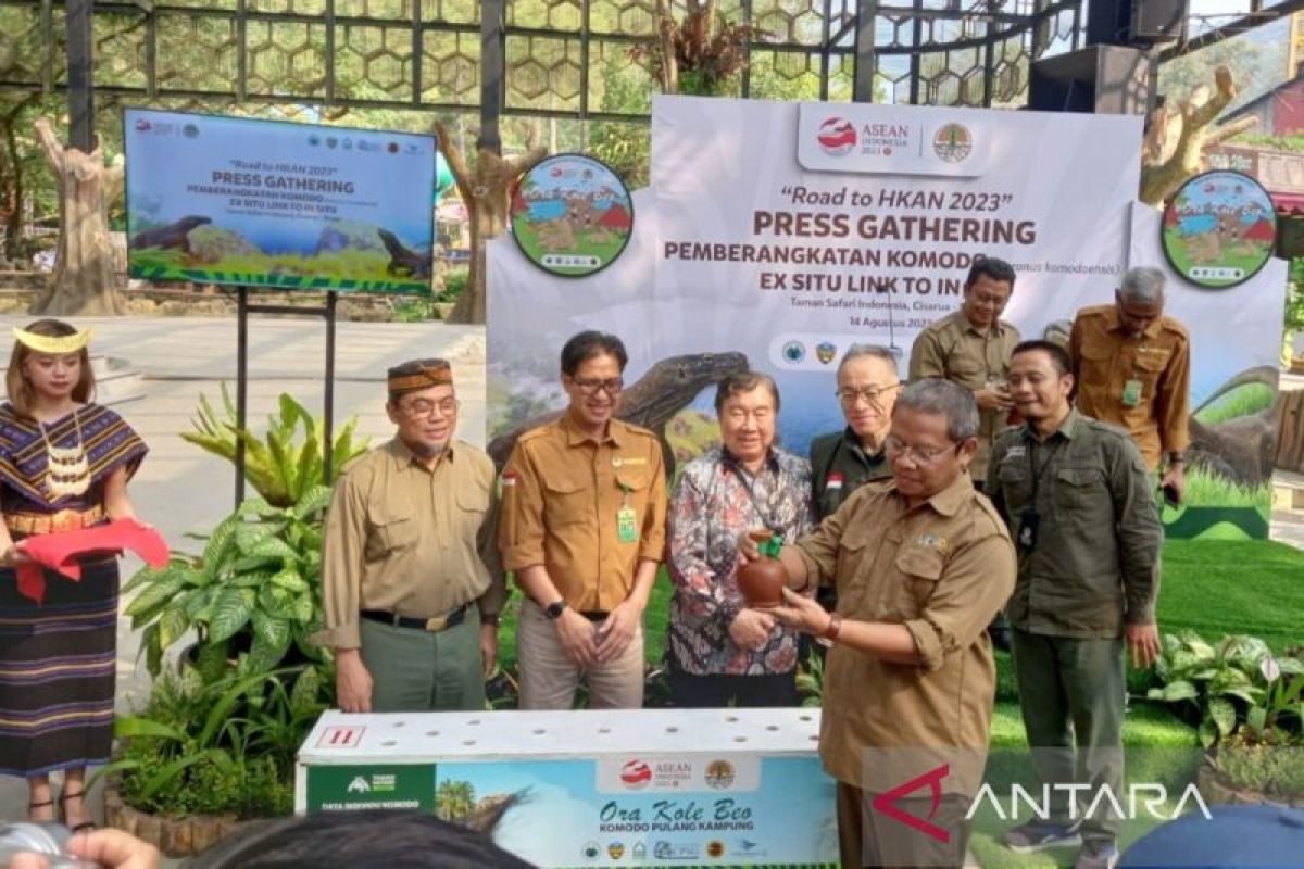 Taman Safari Bogor komitmen jaga populasi komodo agar lestari