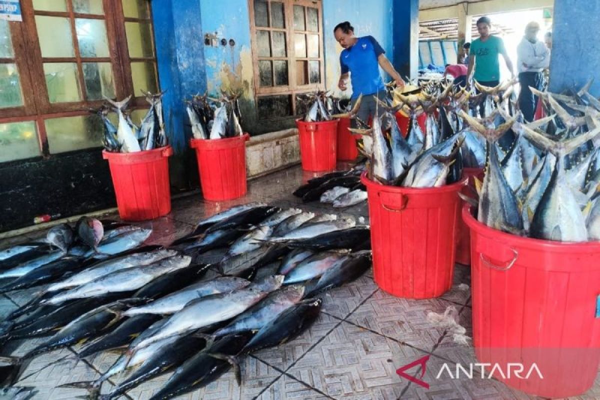 Disperindagkop Papua dorong 9 kabupaten/kota ekspor hasil ikan