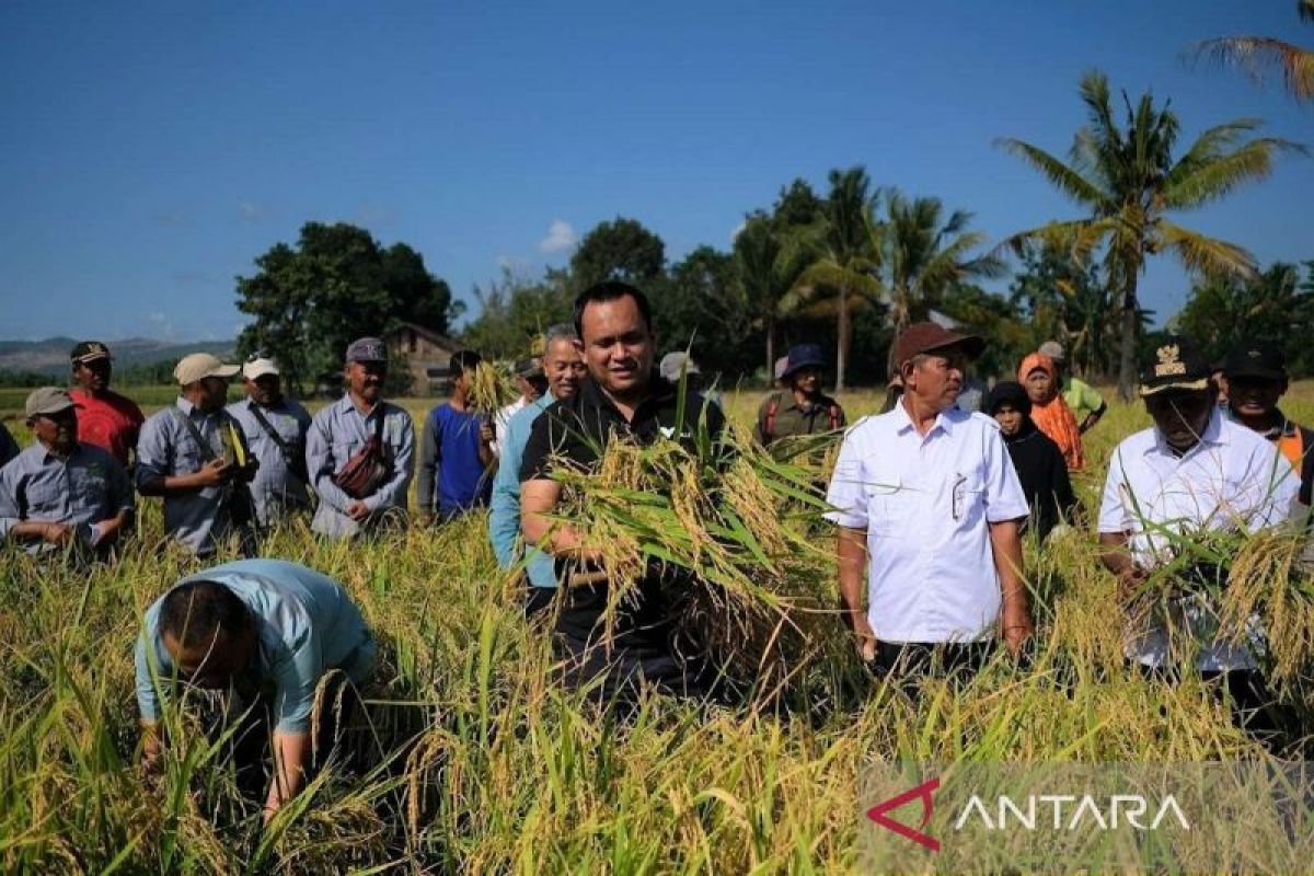 PT Vale mulai bangun pusat pembibitan Indonesia Growth Project