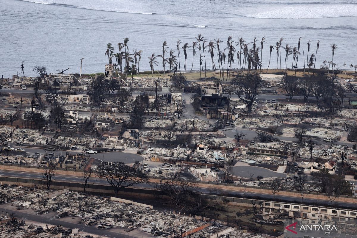 Korban tewas akibat kebakaran capai 93, Maui Hawaii seperti "zona perang"
