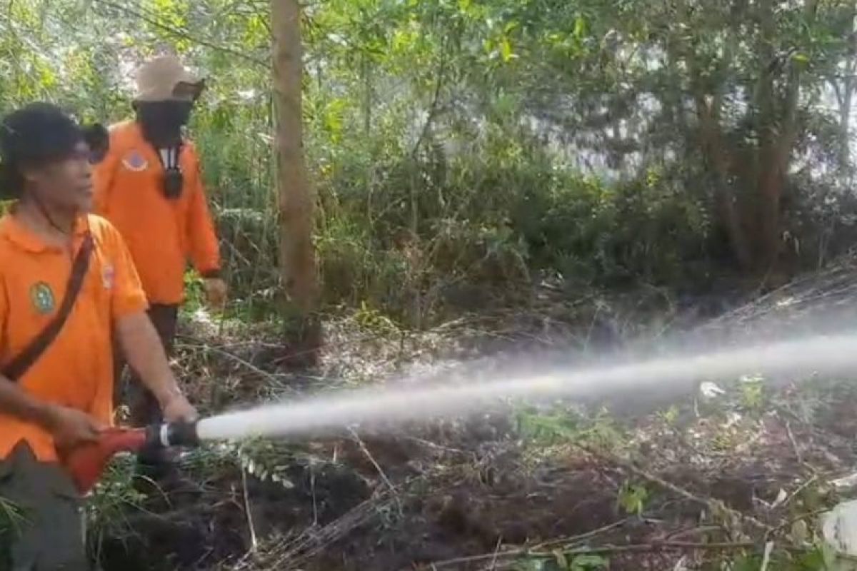 Disbunnak Kalbar minta pemilik konsesi perkebunan untuk siaga karhutla