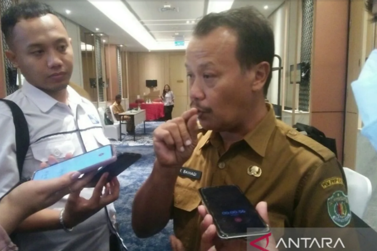 IKN designation bumping up tourist influx to E Kalimantan: official