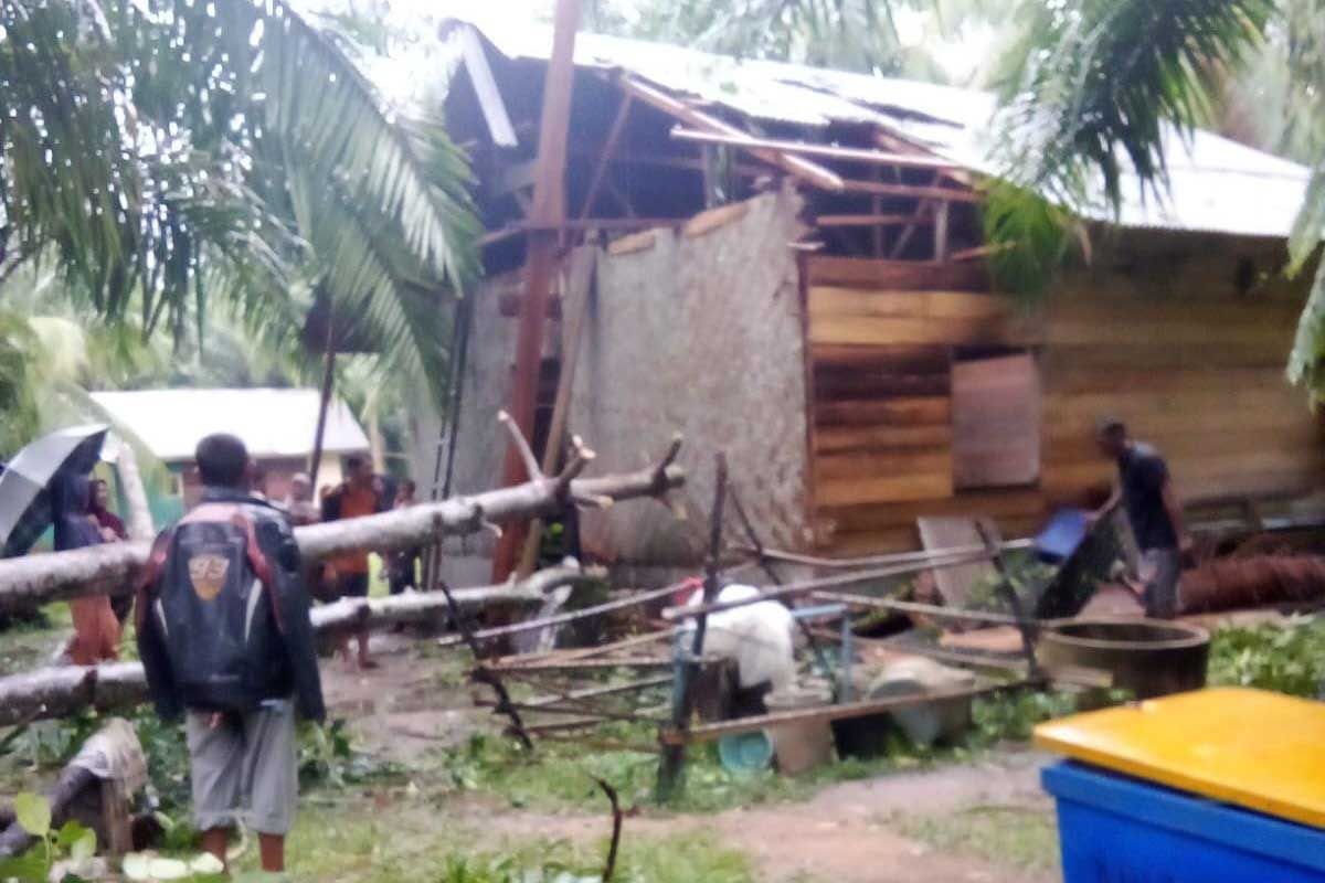 Tiga rumah di Aceh Timur rusak dihantam puting beliung