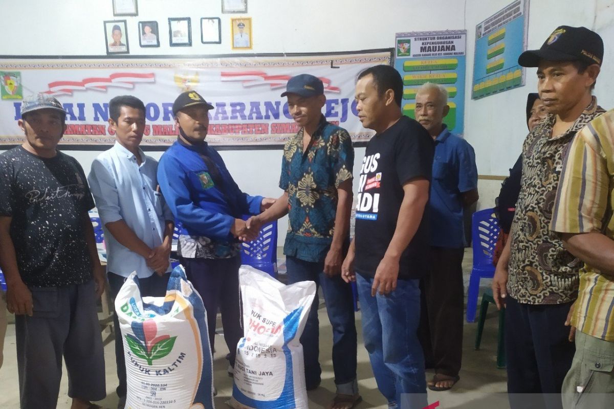 Petani di Karang Rejo Simalungun dapat bantuan pupuk dari pemerintah desa