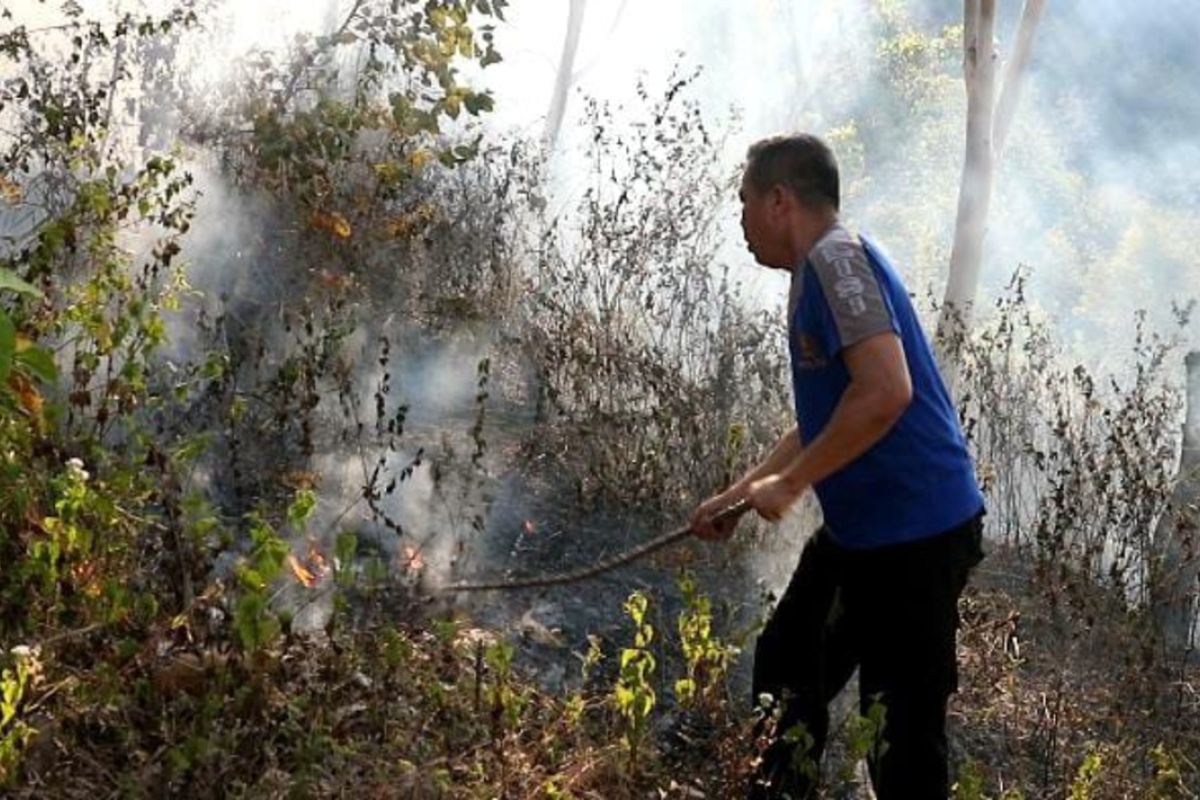 Petugas gabungan bersama warga padamkan kebakaran hutan di Ponorogo