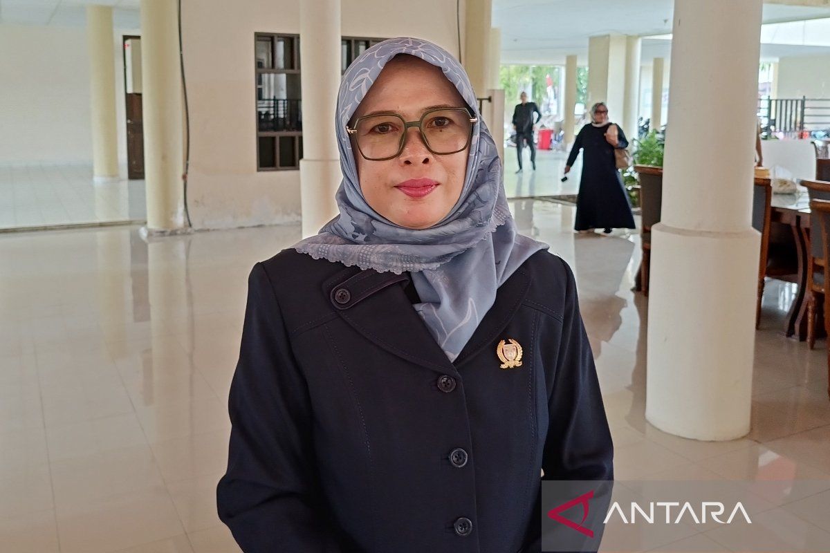 Legislator Barsel ajak generasi muda optimalkan literasi digital