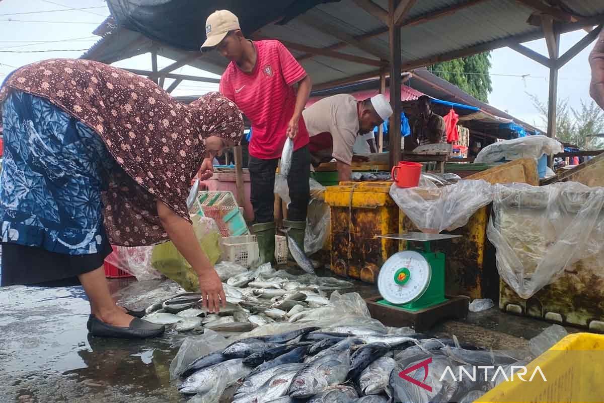 Aceh Timur banjir ikan tongkol