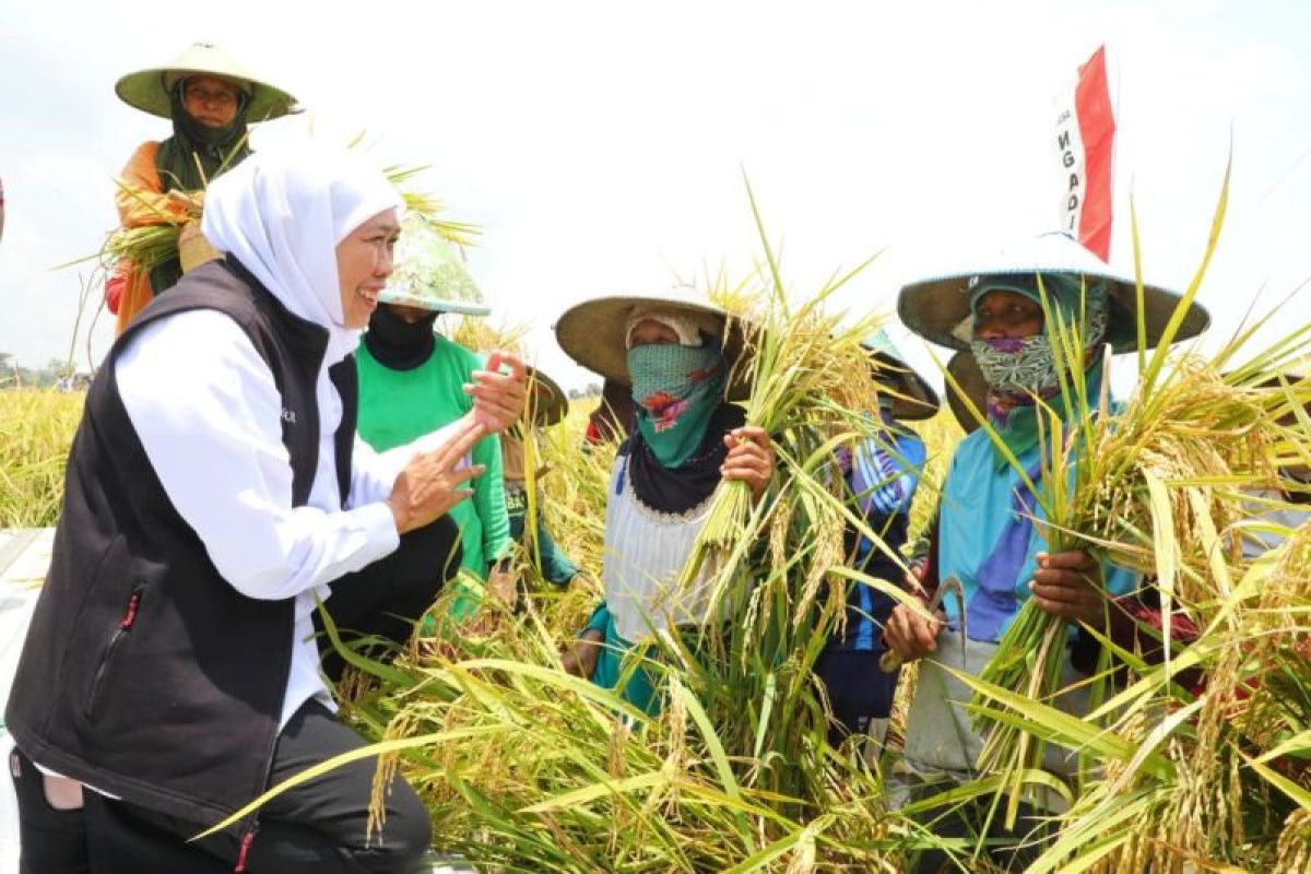 Gubernur Jatim raih penghargaan Adhikarya Nararya Pertanian