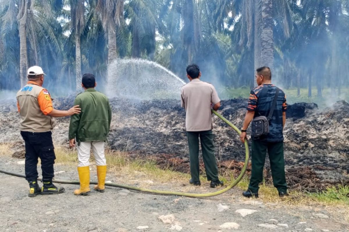 BPBD Paser imbau warga tidak membakar lahan