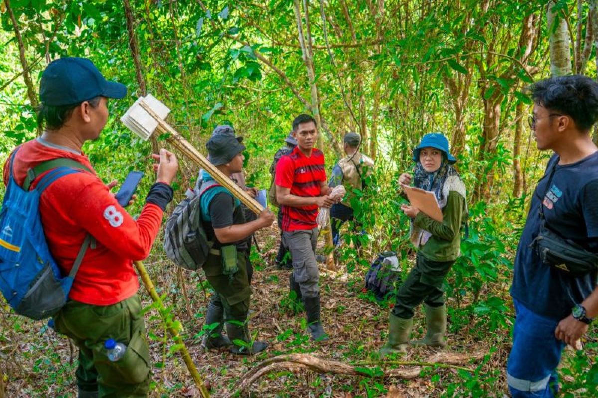 Program rehabilitasi AMMAN dukung pengelolaan hutan untuk kesejahteraan masyarakat NTB