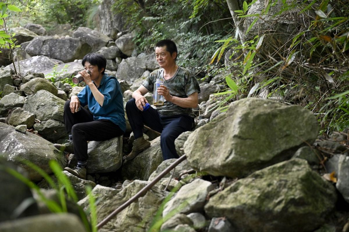 Kisah sepasang jagawana penjaga pegunungan dan hutan di Anhui