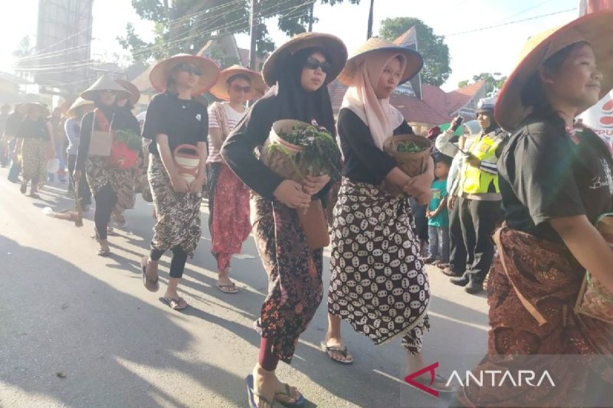 Pemkab Palas gelar pawai karnaval penyambutan HUT RI