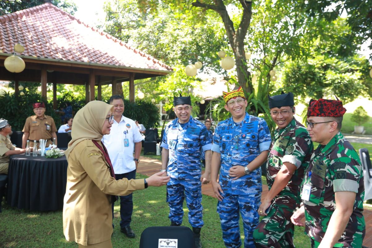 Genjot promosi pariwisata, atraksi dirgantara TNI AU
