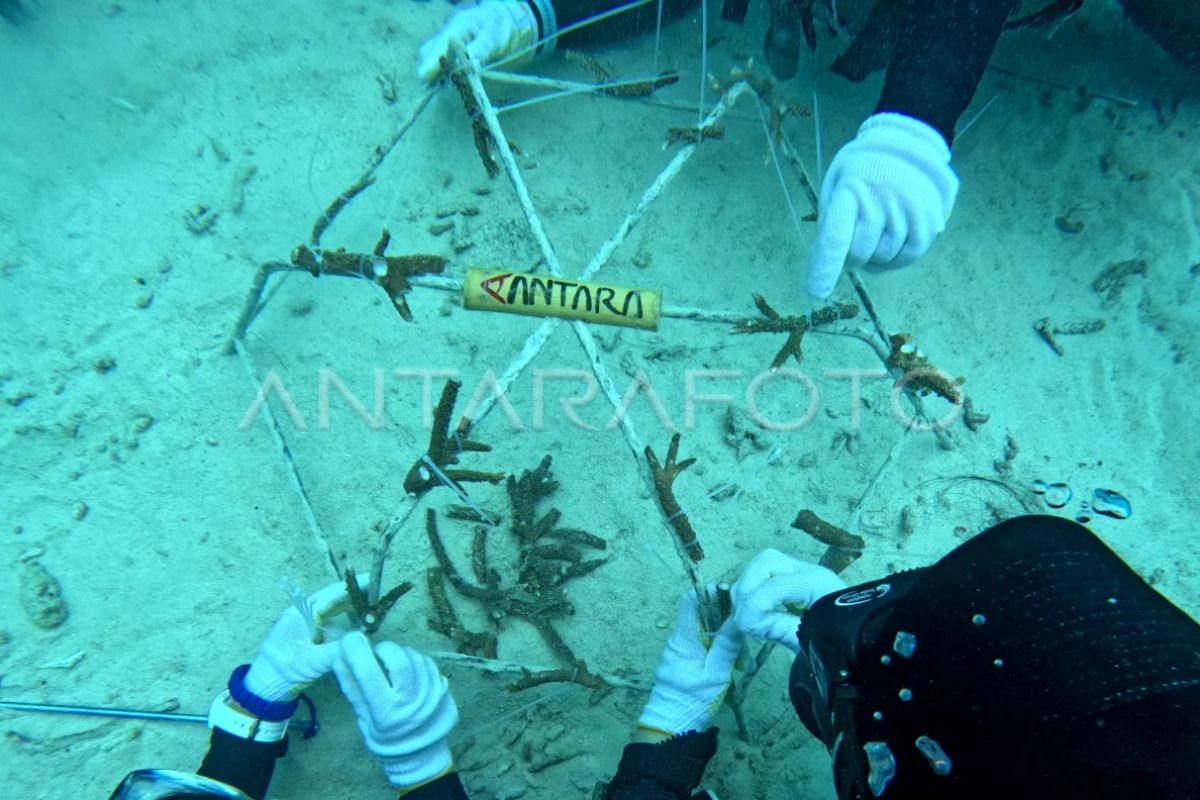 Kota Sabang miliki 22 spot pesona bawah laut kelas dunia