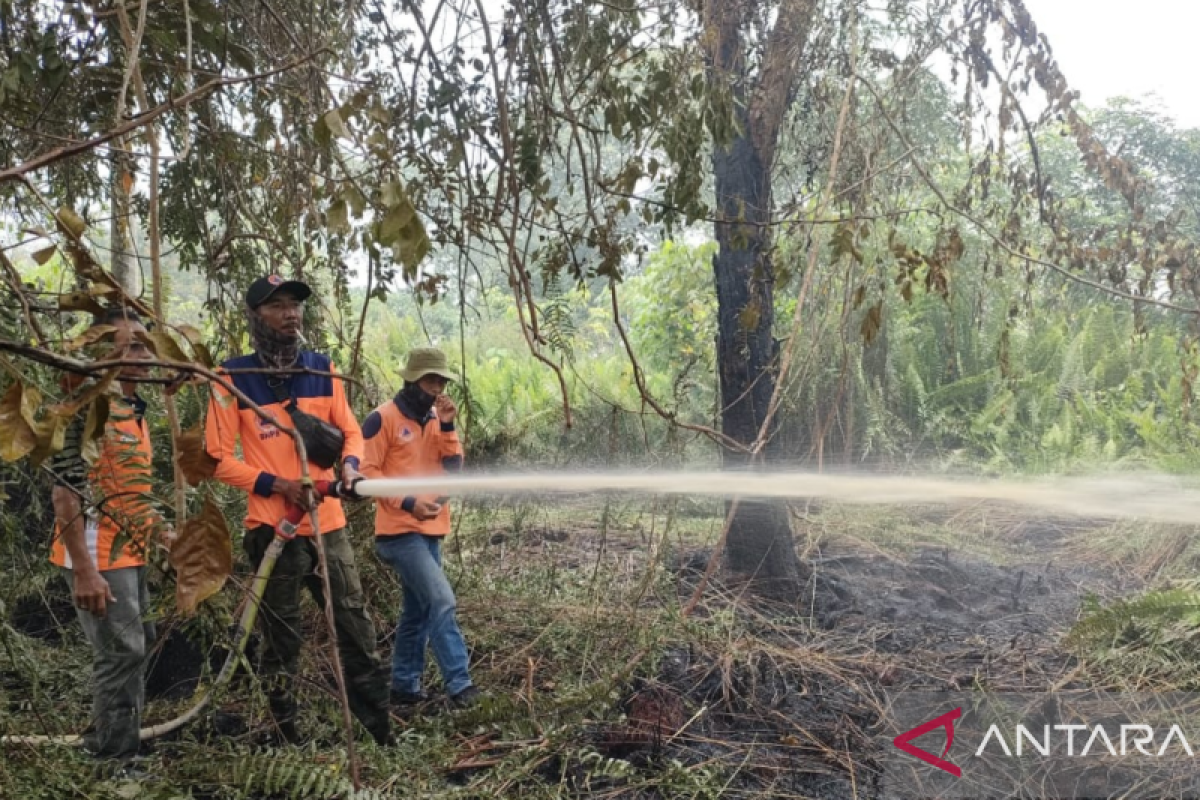 BPBD Kalbar fokuskan pemadaman kebakaran lahan di sekitar pemukiman