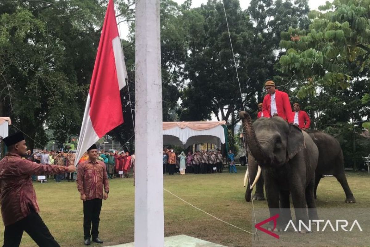 Tiga gajah sumatera ikut kibarkan Bendera Merah Putih di Riau