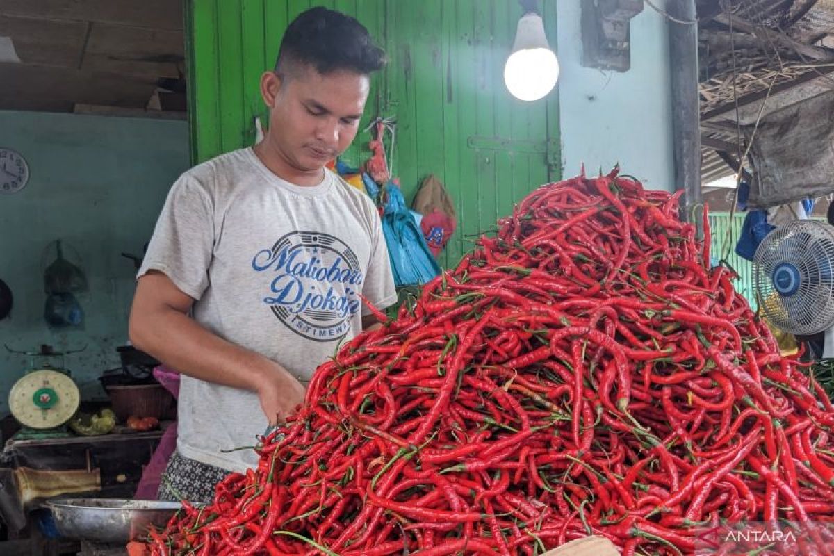 Pemda diminta awasi fluktuasi harga cabai merah di Sumut
