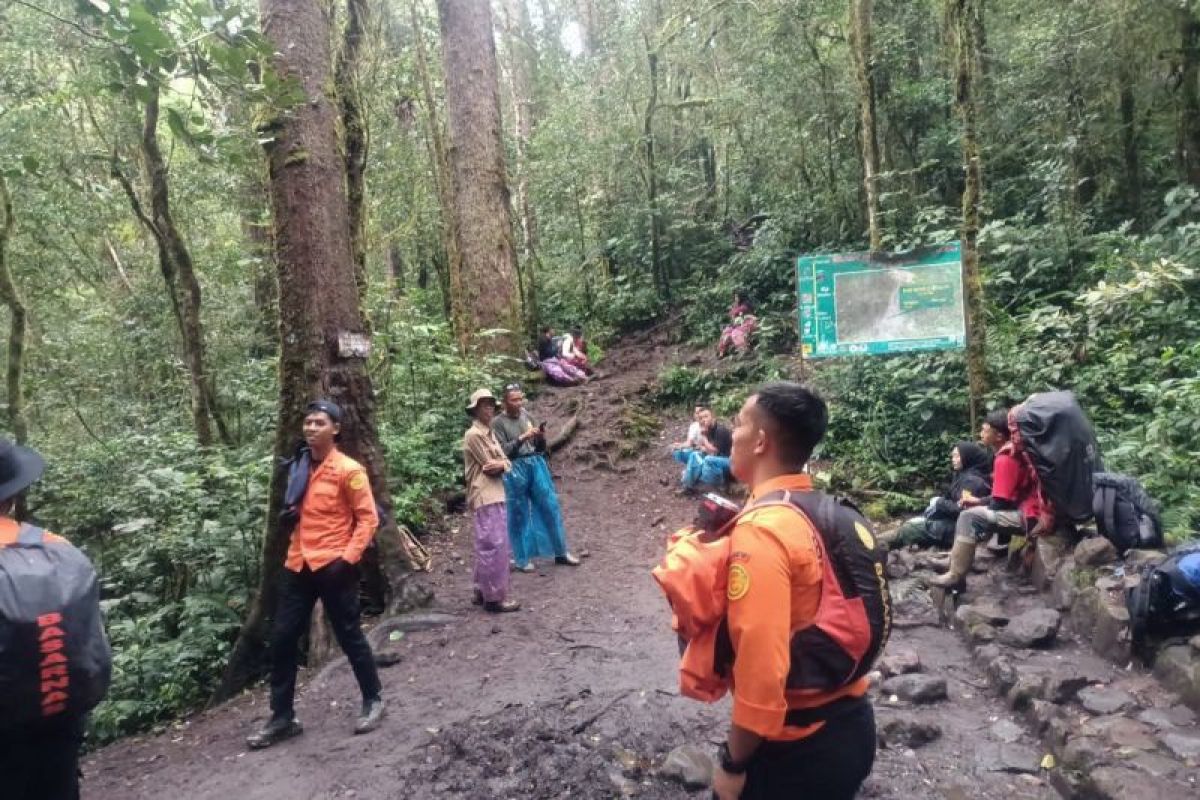 Basarnas evakuasi pendaki Gunung Kerinci yang alami cedera