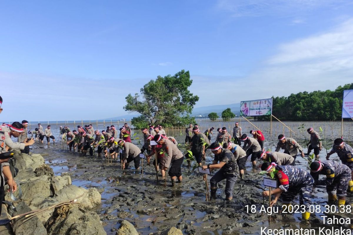 Polres Kolaka bersama Forkopimda tanam 1.000 mangrove di Tahoa