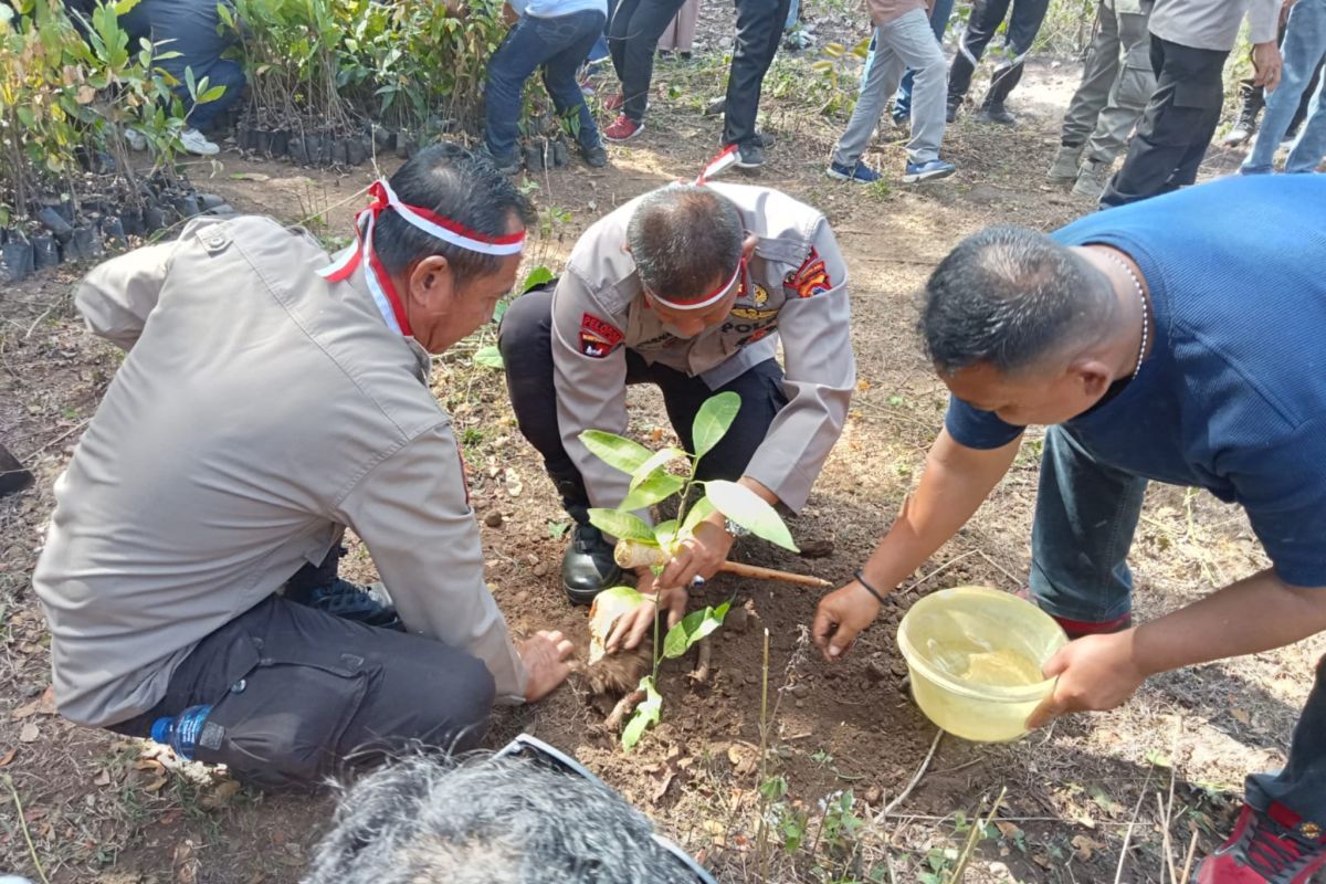 1.500 bibit pohon ditanam di kawasan hutan di Dompu