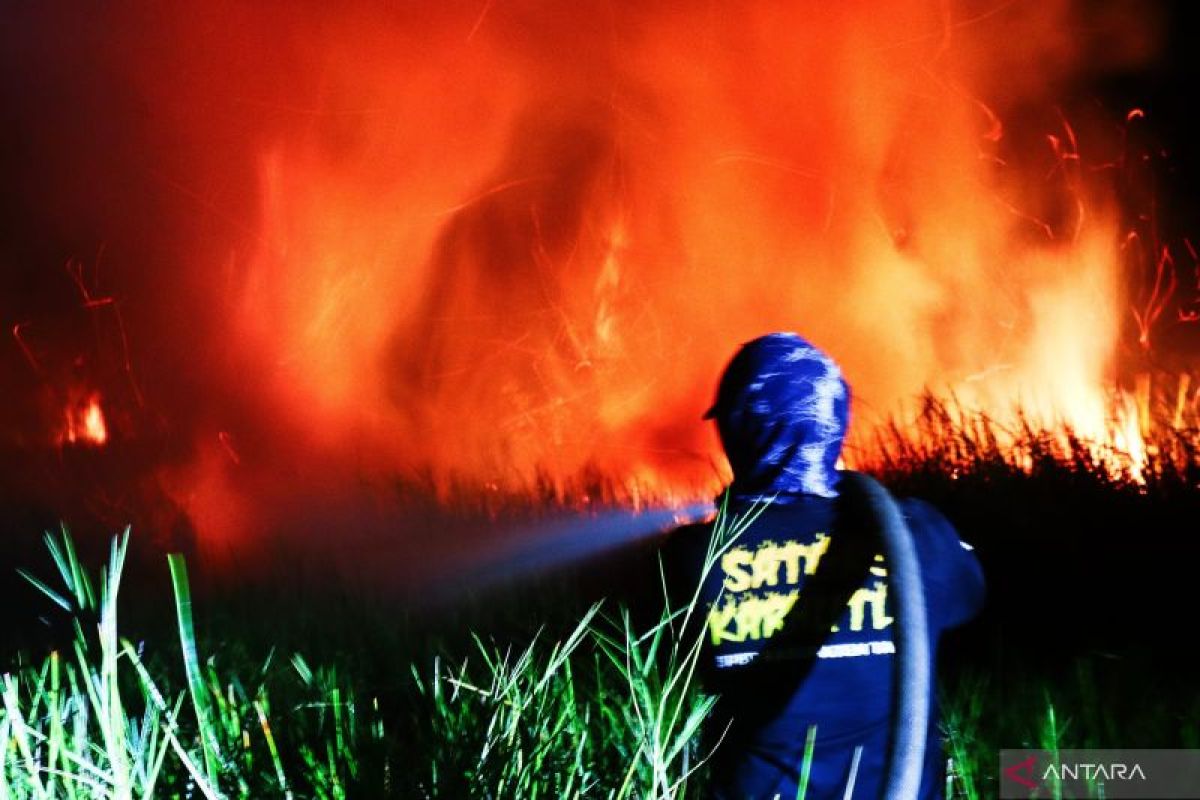 Sentral Cabai Rawit Hiyung di Tapin nyaris dilalap api