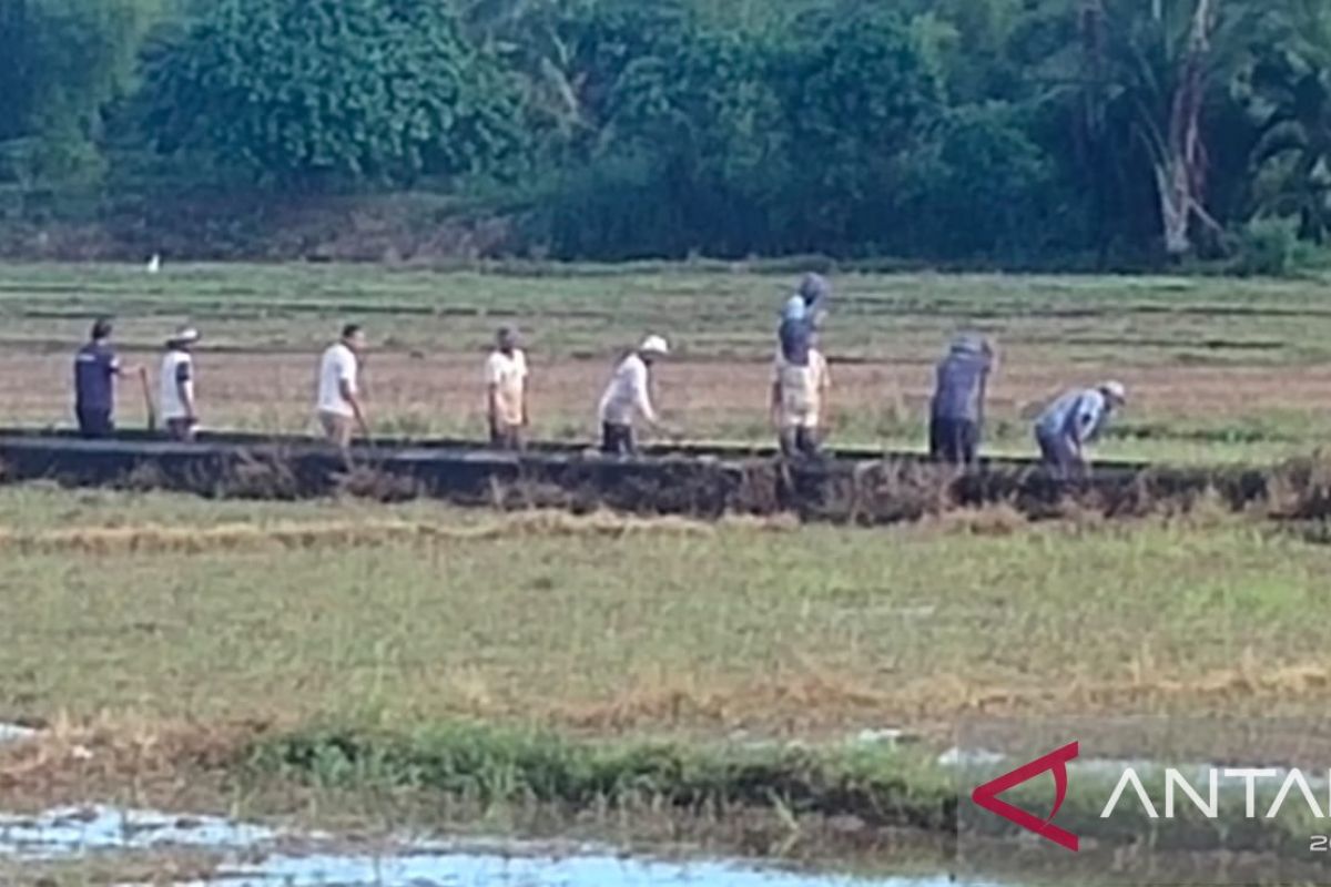 Puluhan petani di Abdya gotong royong bersihkan saluran irigasi