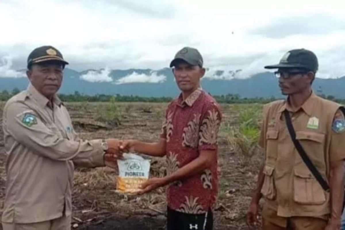 Aceh Selatan kembangan tanaman jagung di lahan tidur seluas 2.356 ha