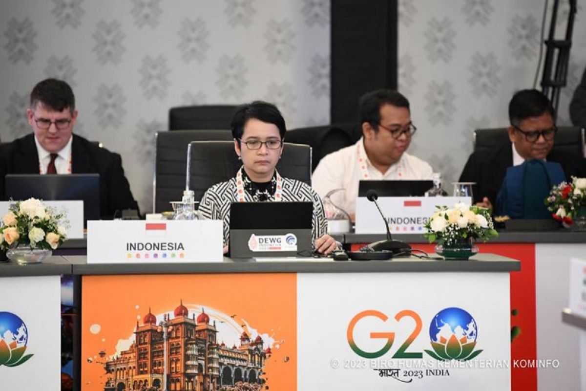 Indonesia dorong ruang fleksibel untuk DPI di DEWG G20 India