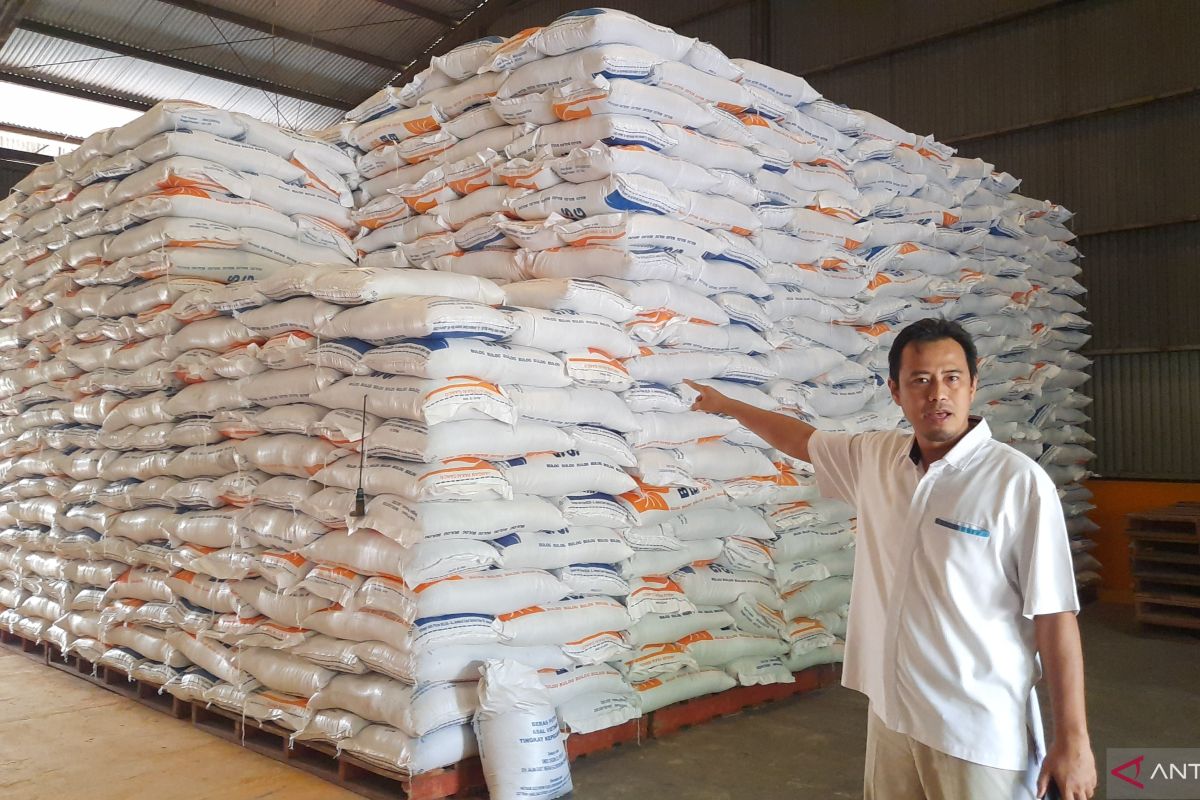 Bulog Tangerang sebut musim kemarau tak pengaruhi stok beras