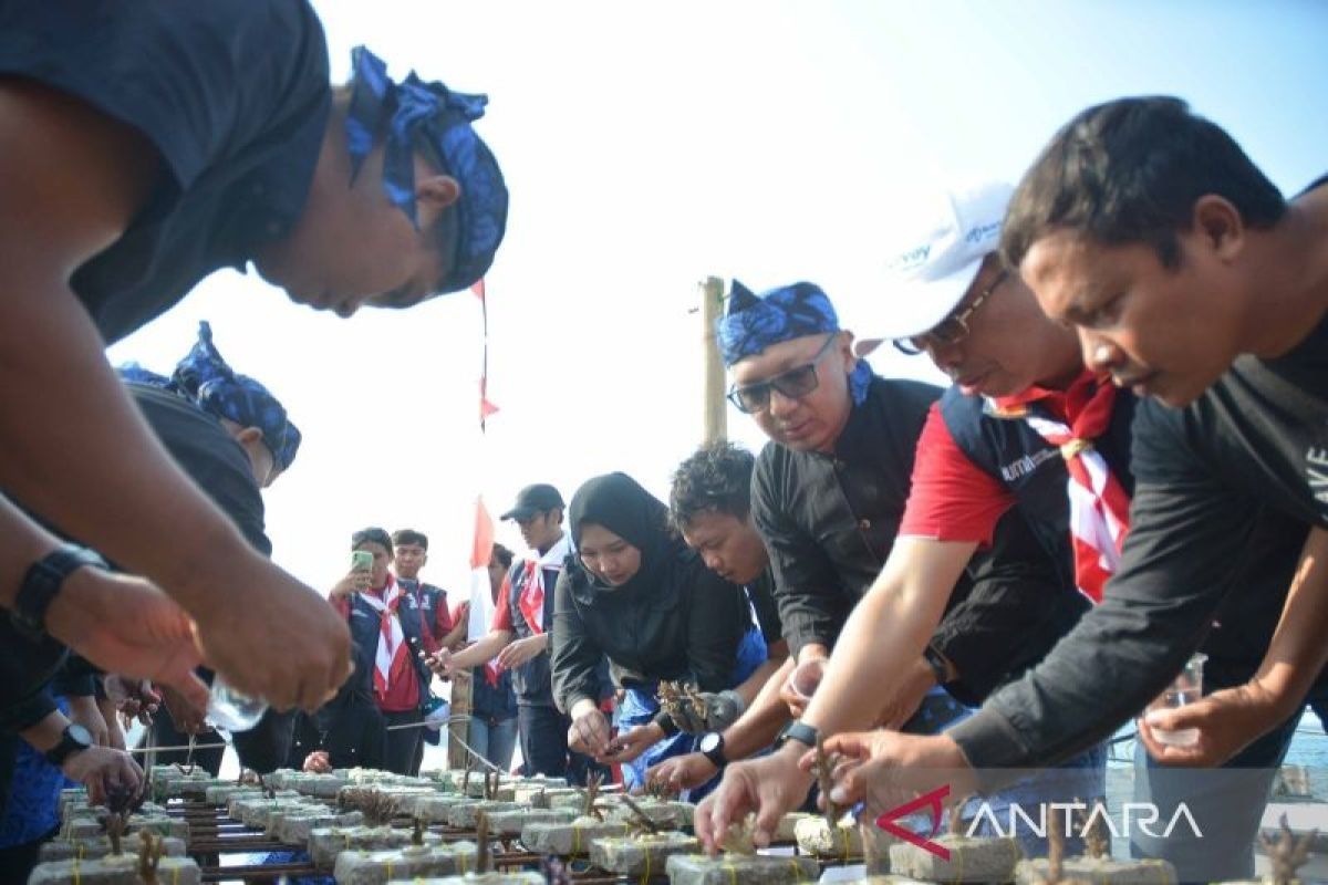 IDSurvey dan Relawan Bakti BUMN lakukan konservasi ekosistem pesisir