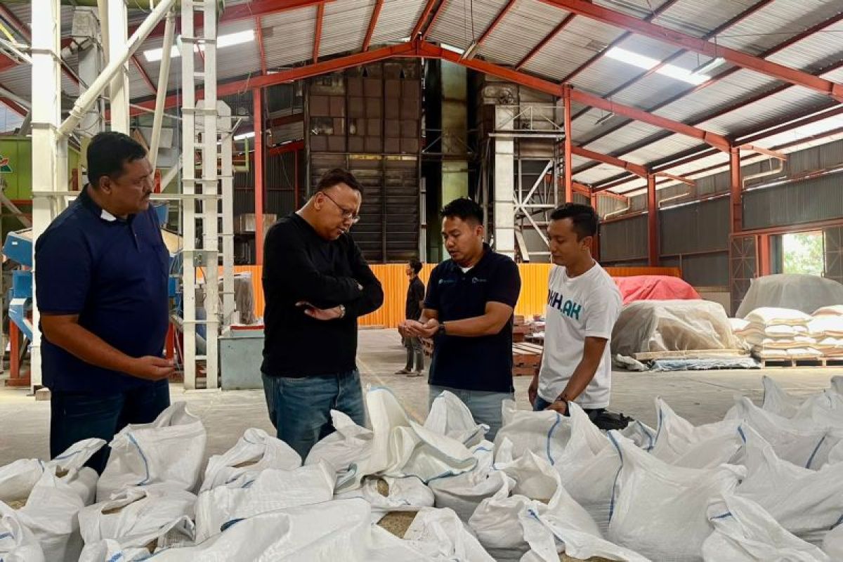 Dirut PT Sang Hyang Seri inspeksi produksi benih padi di Solo