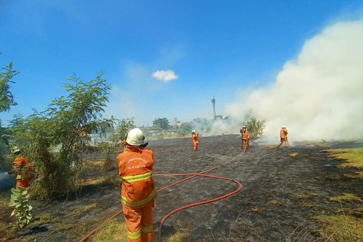 DPKP Surabaya gencarkan patroli antisipasi kebakaran lahan terbuka saat kemarau