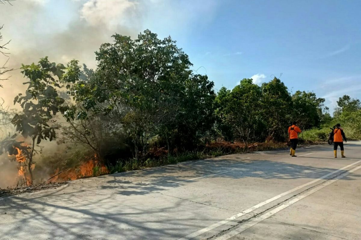 Ada 153 titik panas di Kaltim