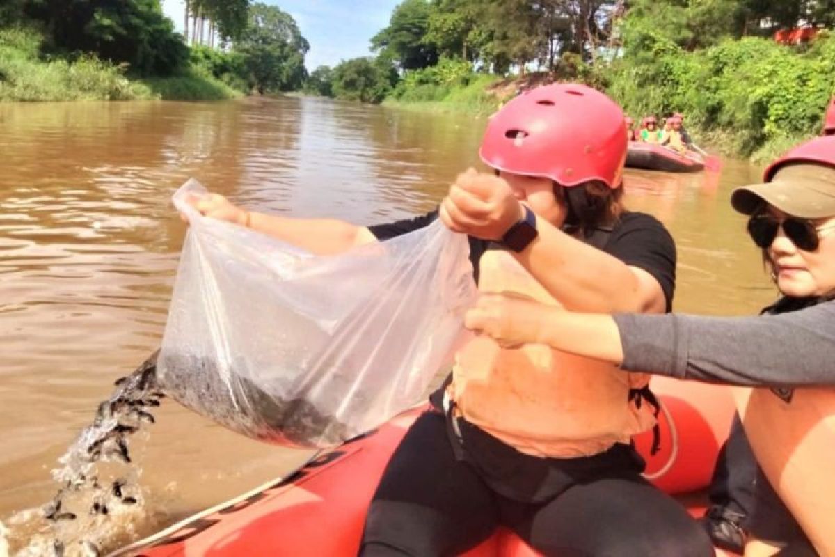 Pemkot  Medan tabur 5.000 bibit ikan ke Sungai Deli