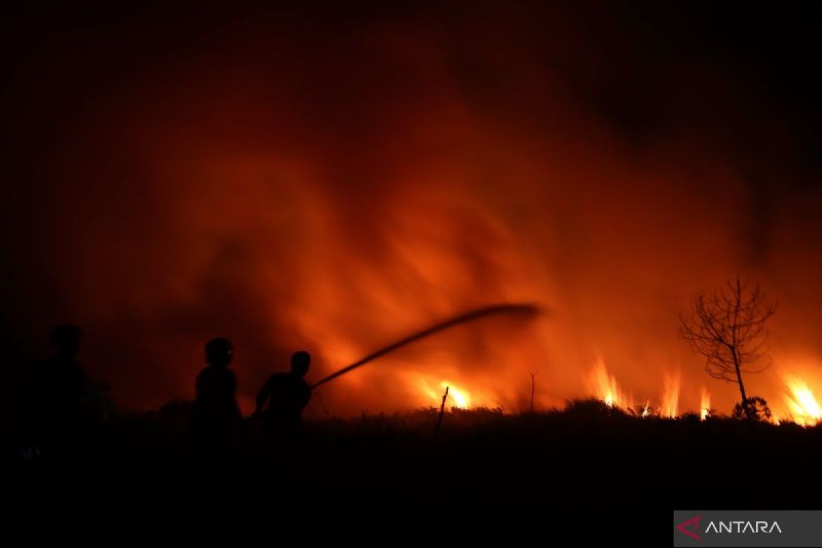 Satgas Karhutla Tapin amankan pemukiman dari kobaran api