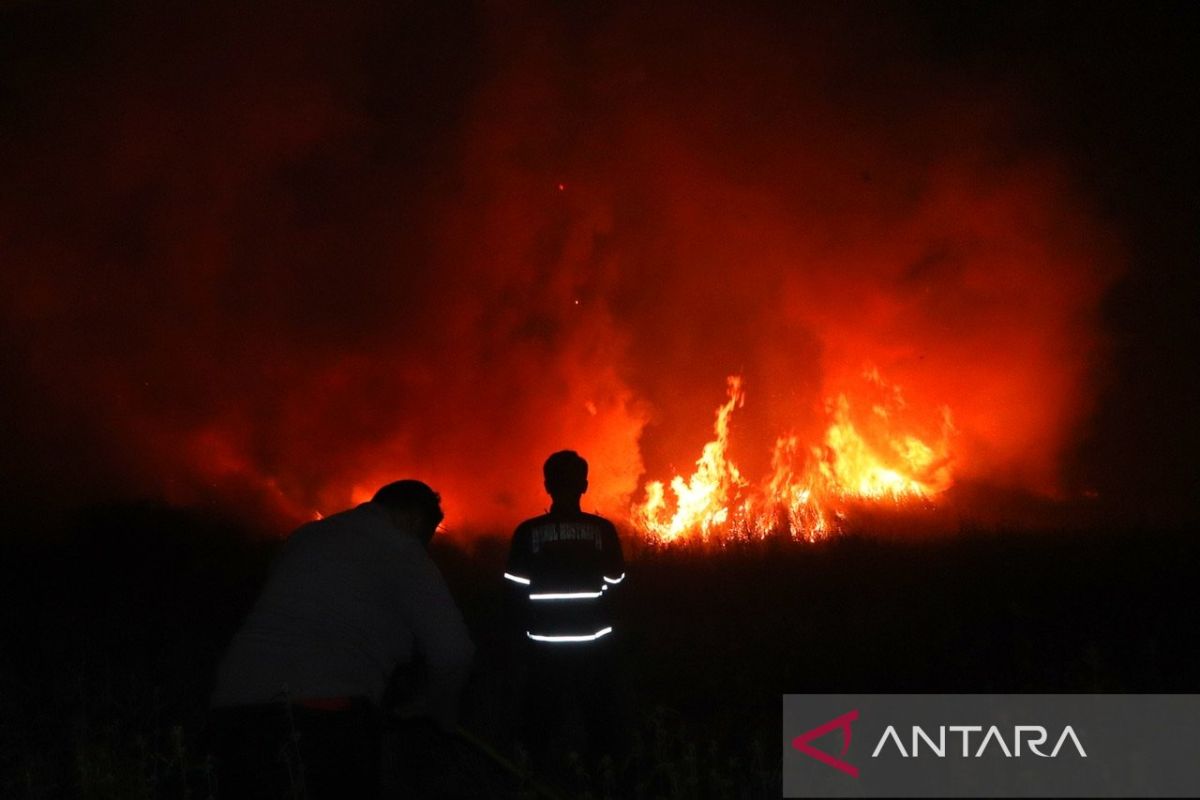 Satgas Karhutla Tapin amankan pemukiman dari kebakaran