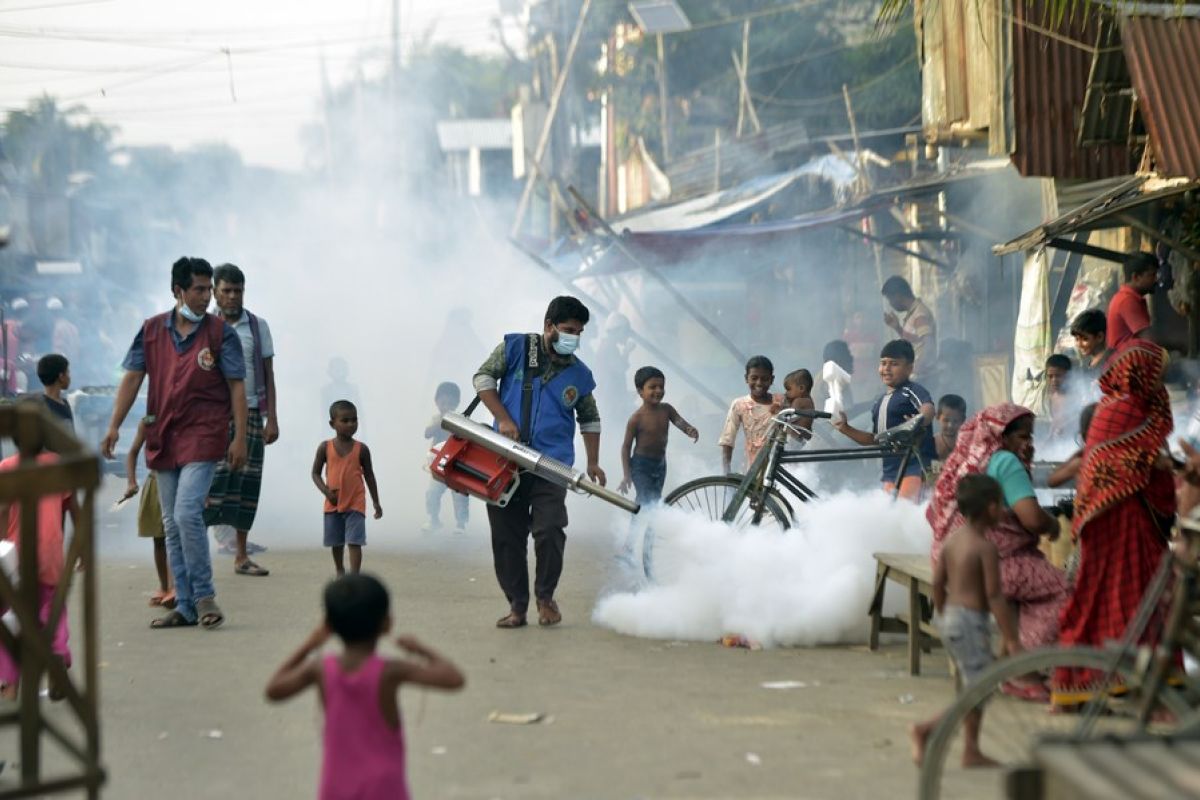 Pemberantasan nyamuk di Bangladesh perangi wabah DBD