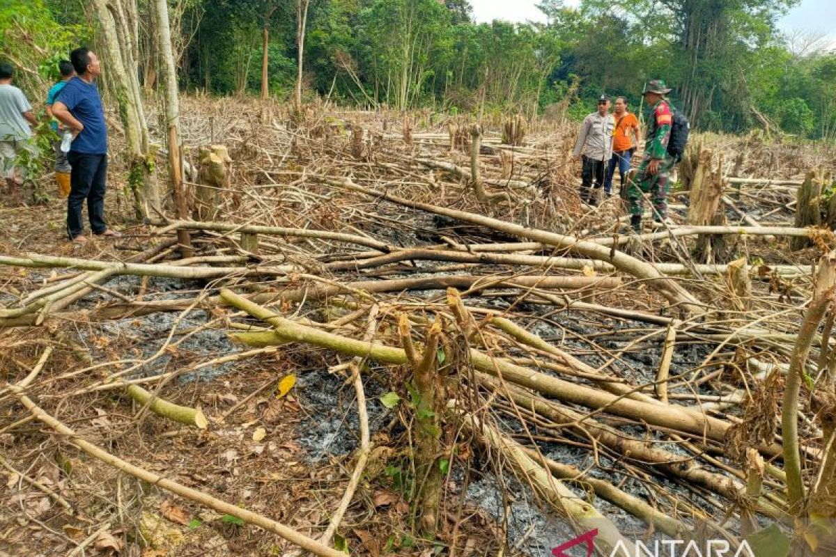 BPBD OKU:  Empat peristiwa karhutla terjadi pada 2023