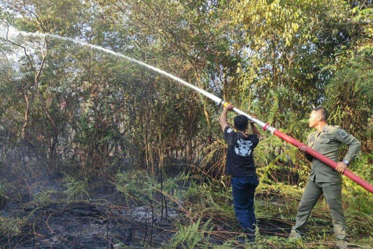 DPKP Kabupaten PPU berhasil padamkan kebakaran lahan  di Babulu