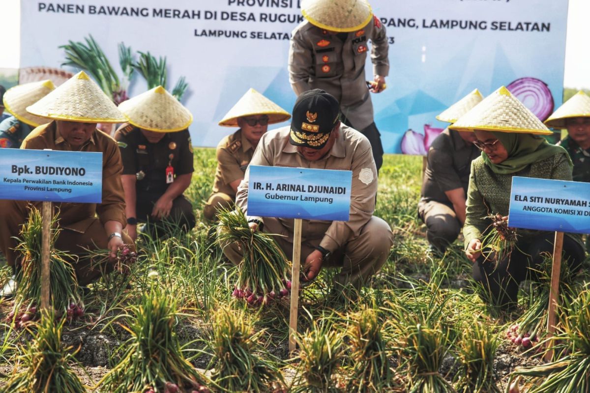 Gubernur Lampung: Tekan inflasi dengan desa mandiri benih