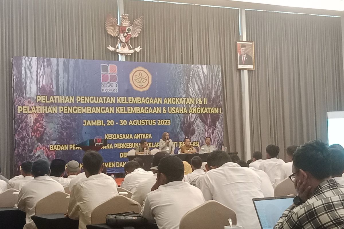 BPDPKS dan  Kementan beri penguatan kelembagaan bagi petani swadaya di Jambi