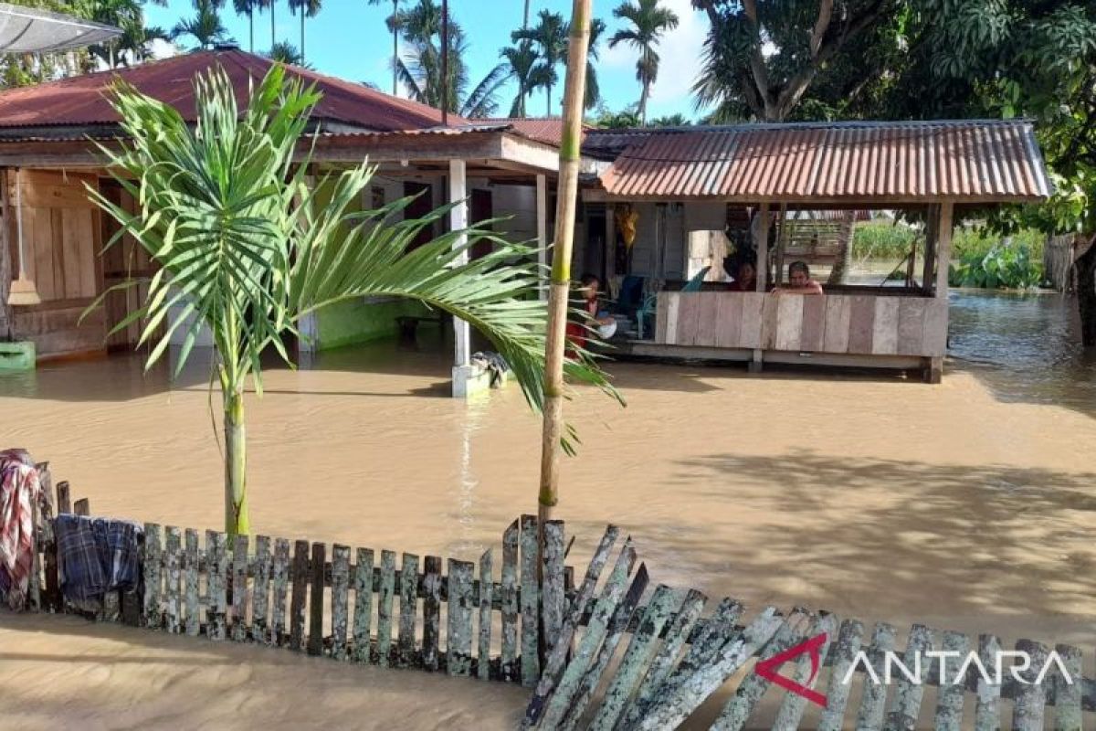 7.313 jiwa terdampak banjir di Aceh Tenggara