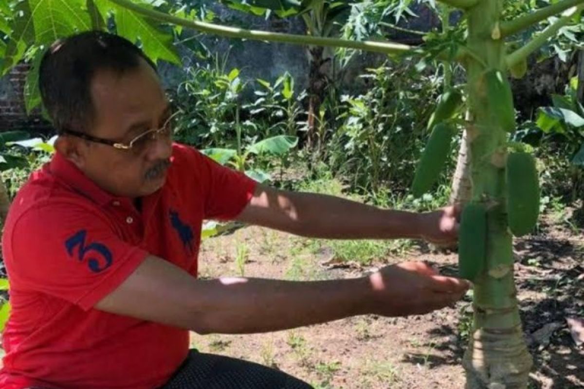 Wawali Armuji ajak warga Surabaya optimalkan "urban farming"