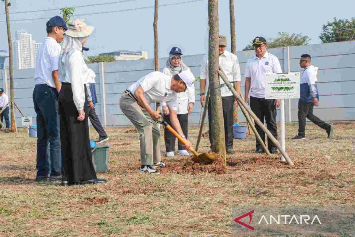 DKI kolaborasi BUMD tanam 1.400 pohon untuk hijaukan ibu Kota