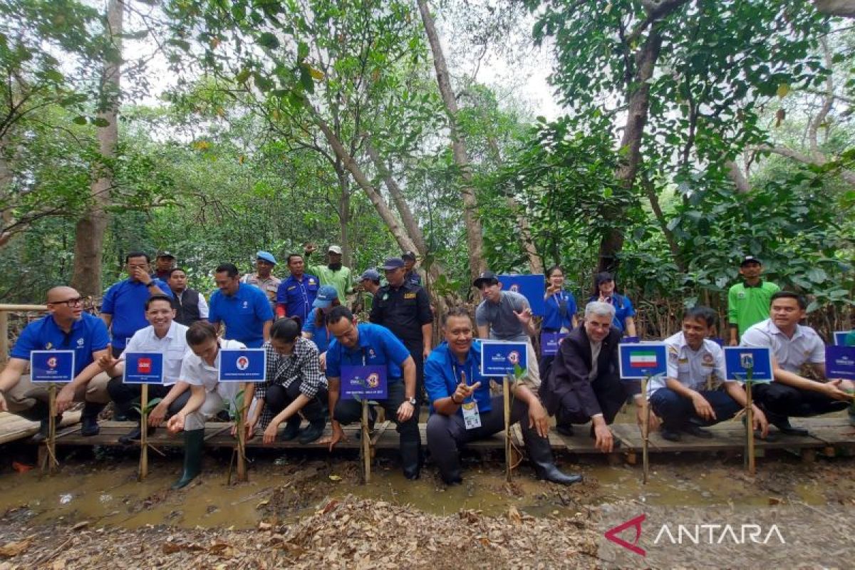56 pohon mangrove ditanam gantikan jejak karbon pesawat peserta FBWC 2023 di Indonesia