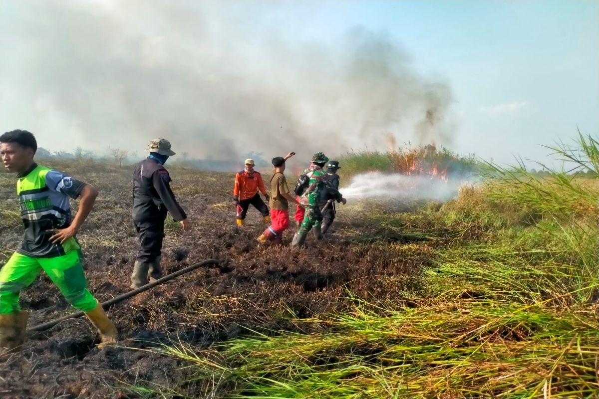 Kebakaran melanda 28 hektare lahan di Kapuas