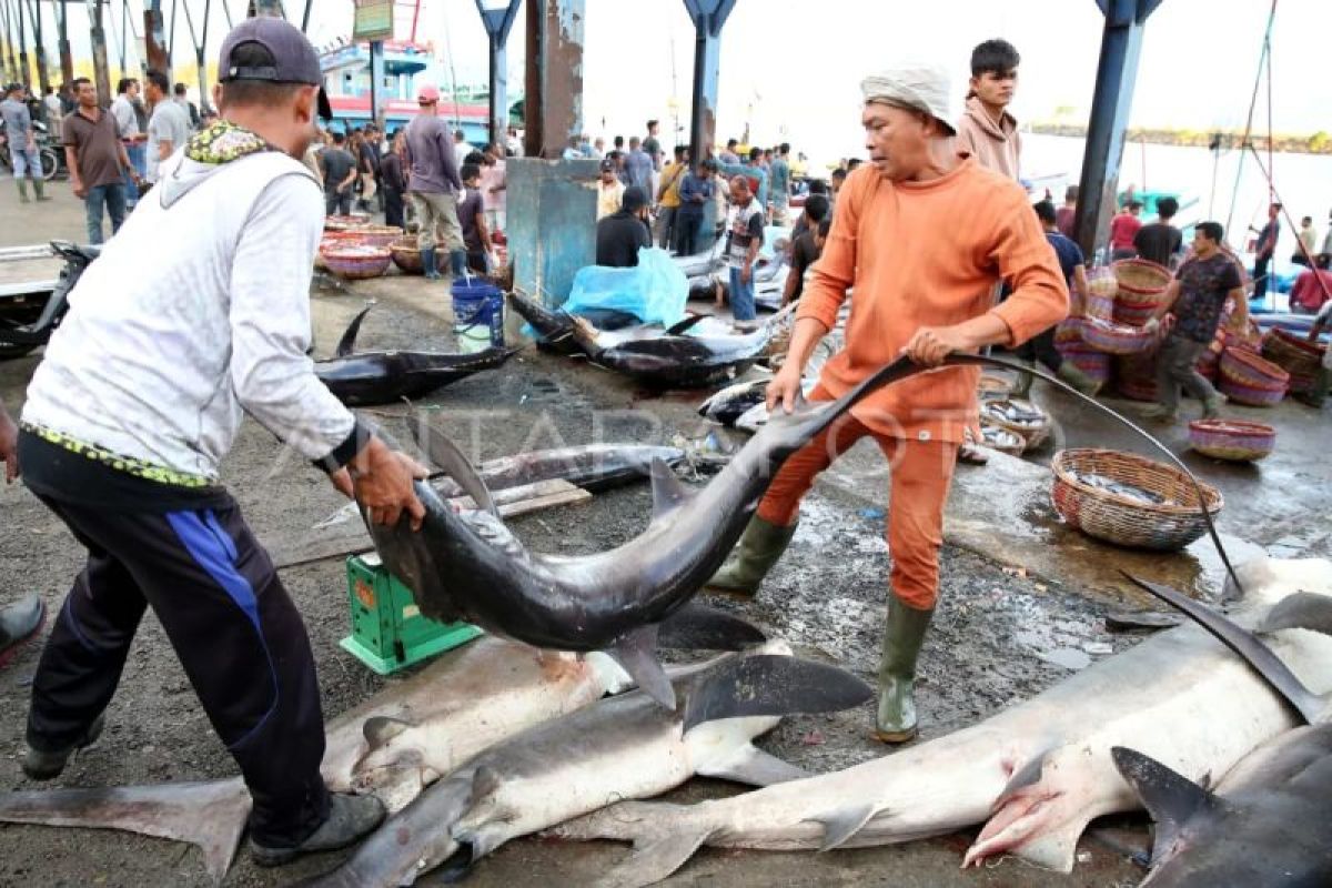 Panglima Laot Aceh: Ketentuan PNBP perikanan beratkan nelayan