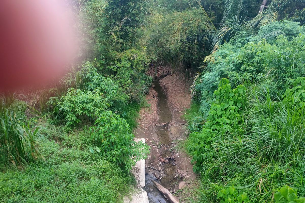 Petani harapkan kemarau segera berakhir